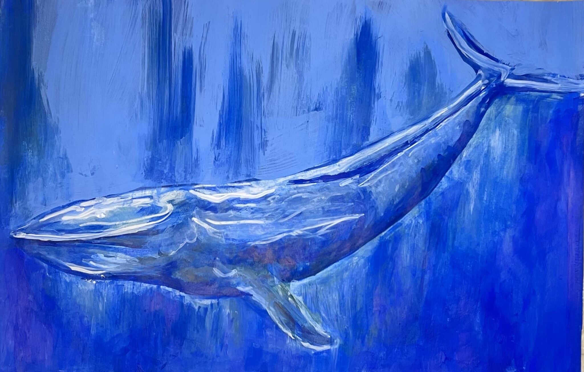 Blue whale