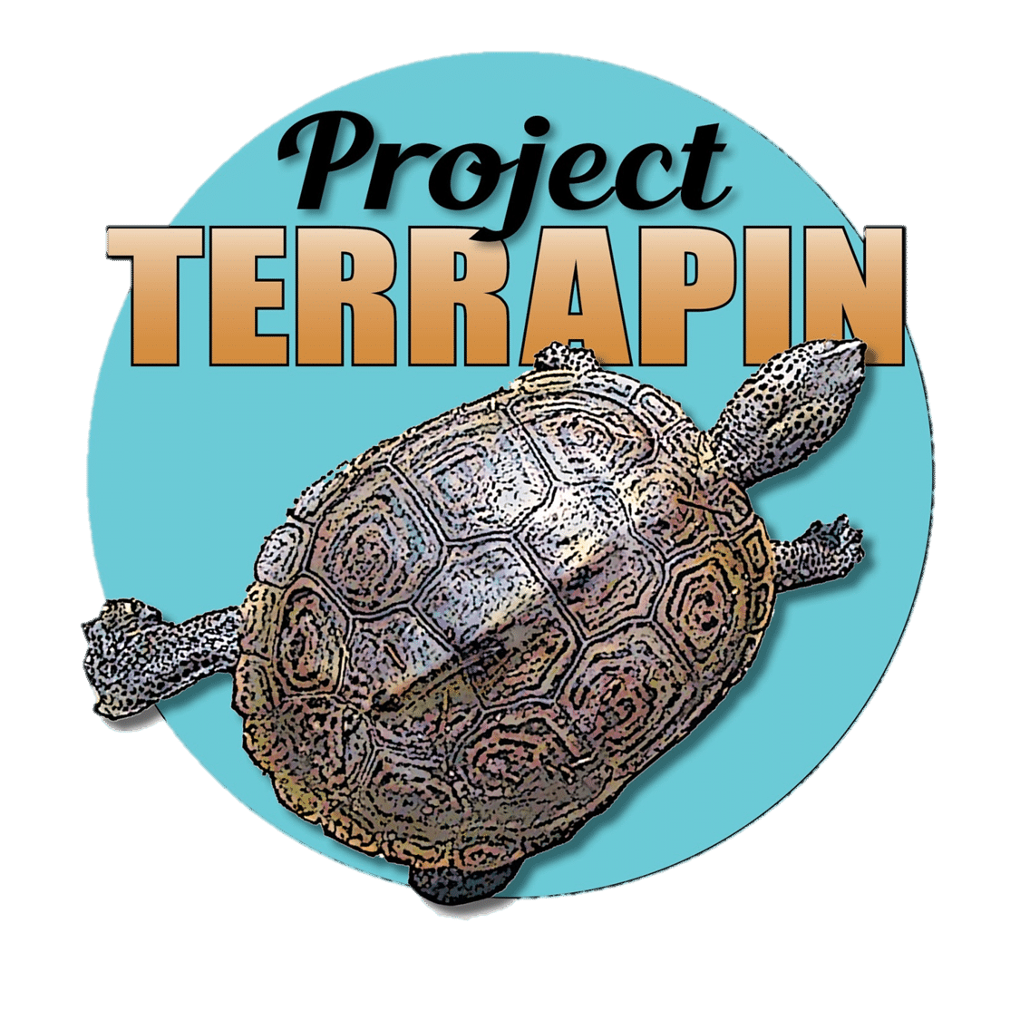 Project_Terrapin