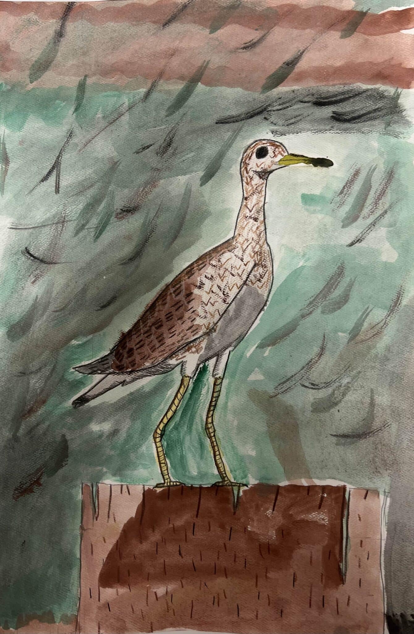 Upland sandpiper