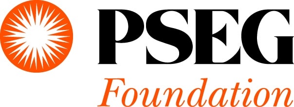 pseg foundation