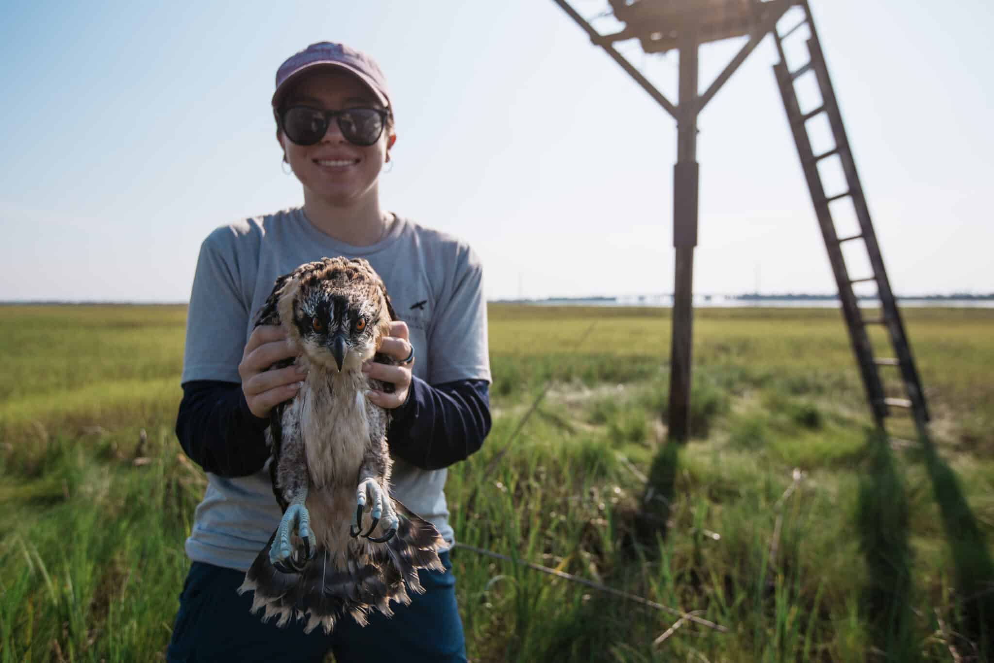 2025 NJ Osprey Project Intern Marlee Canale w/ an osprey nestling.